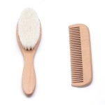 brosse + peigne (3)